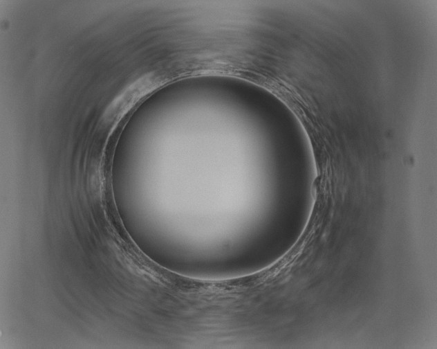 X0000066100290200603101148