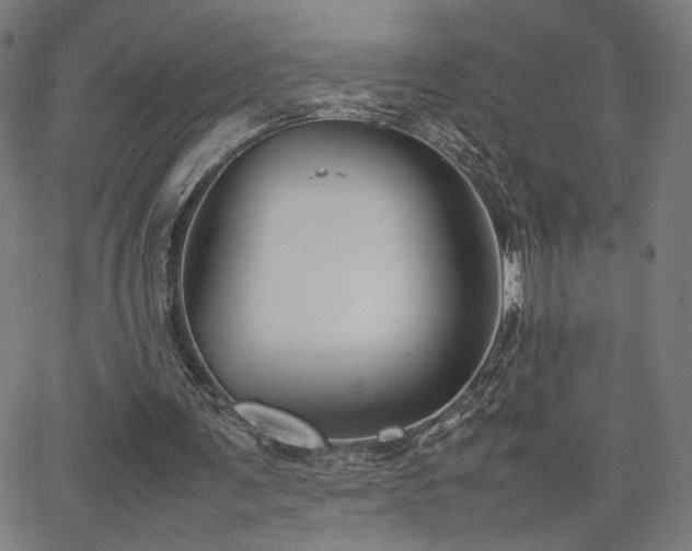 X0000066100291200603101148