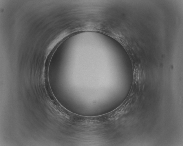 X0000066100292200603101148