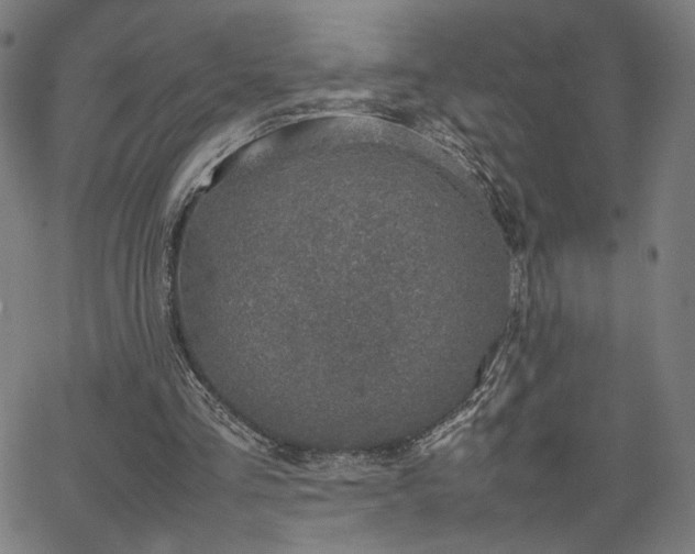 X0000066100293200603101148