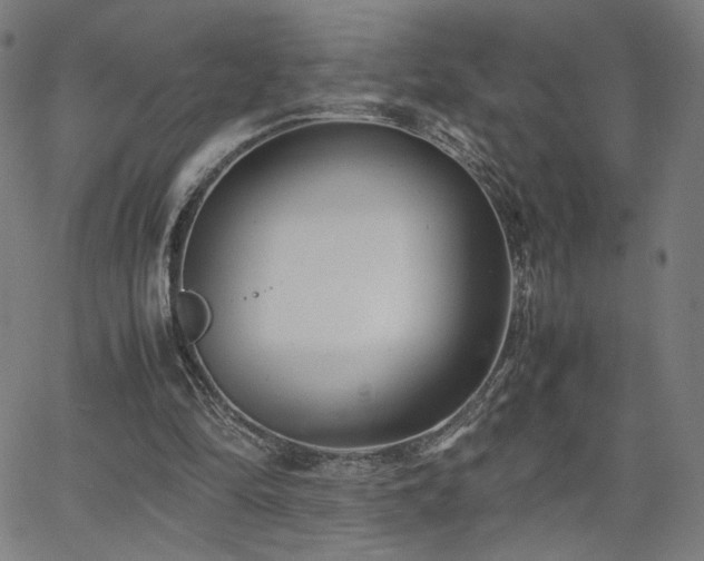 X0000066100294200603101148