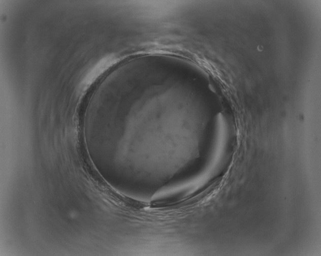 X0000066100295200603101148