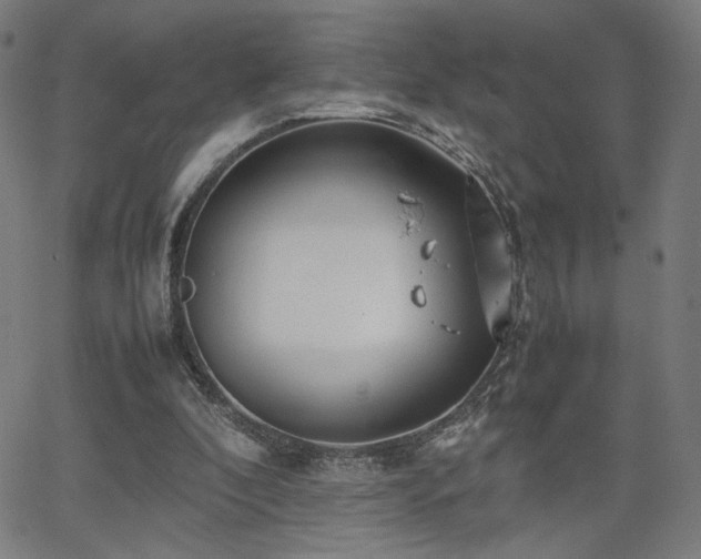 X0000066100296200603101148