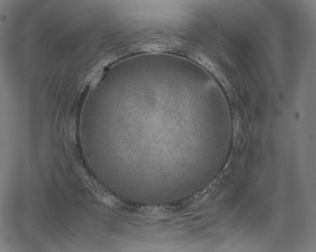 X0000066100297200603101148