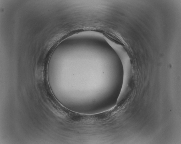 X0000066100299200603101148