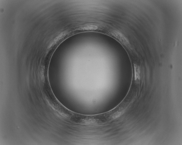 X0000066100300200603101148