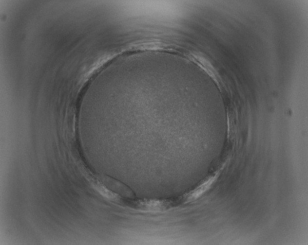 X0000066100301200603101148