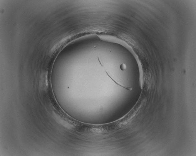 X0000066100302200603101148