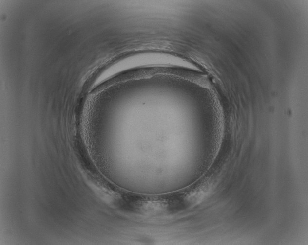 X0000066100303200603101148