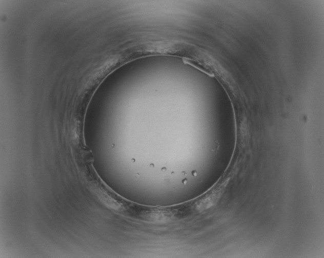 X0000066100305200603101148