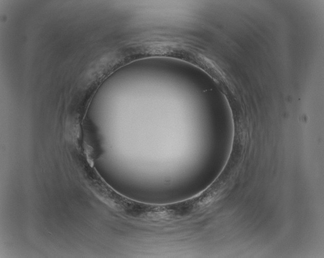 X0000066100307200603101148