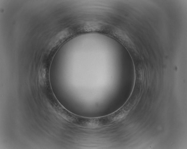 X0000066100308200603101148