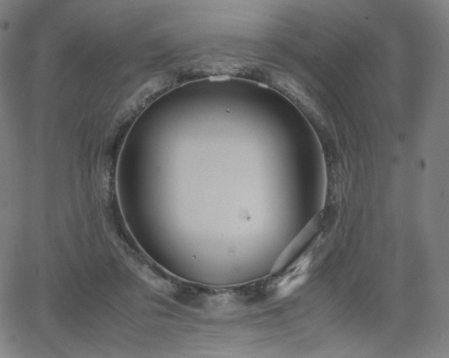 X0000066100309200603101148