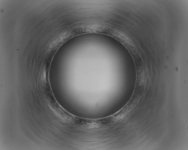 X0000066100310200603101148