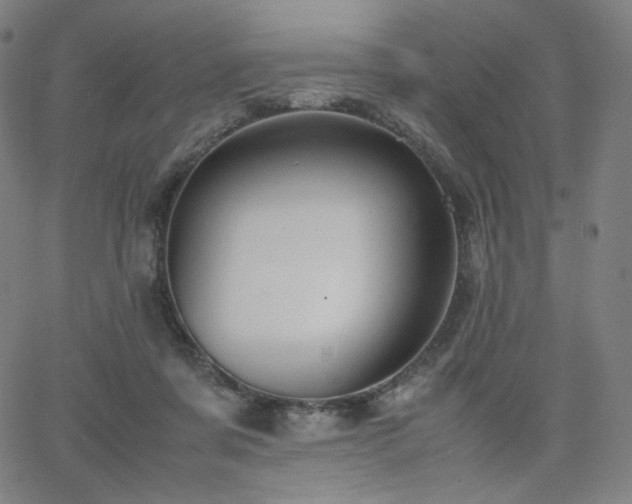 X0000066100311200603101148