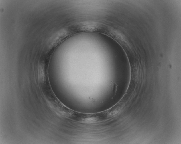 X0000066100312200603101148