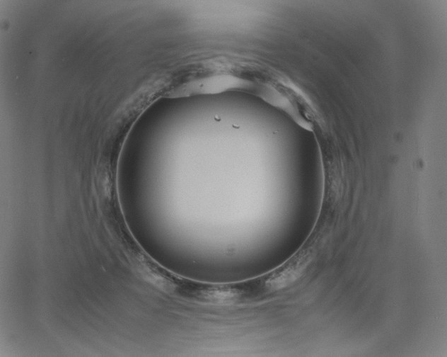 X0000066100313200603101148