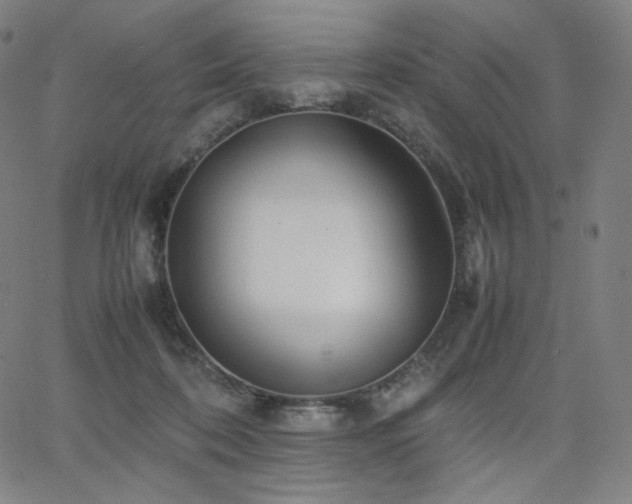 X0000066100316200603101148