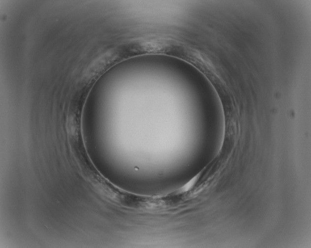 X0000066100317200603101148