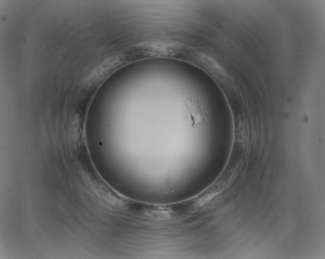 X0000066100318200603101147