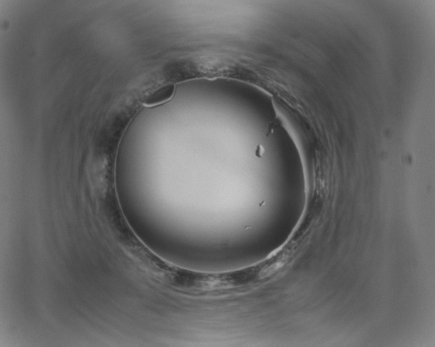 X0000066100319200603101147