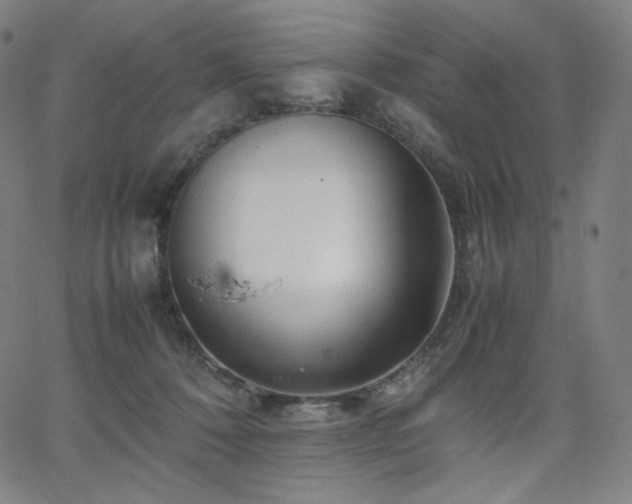 X0000066100320200603101147