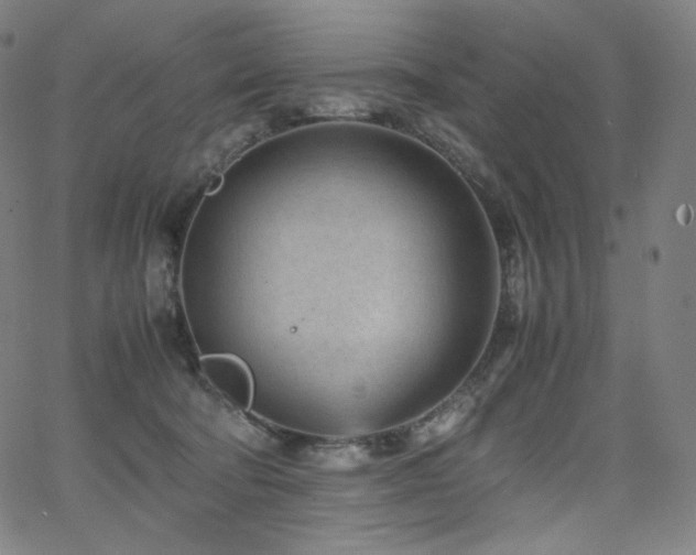 X0000066100322200603101147