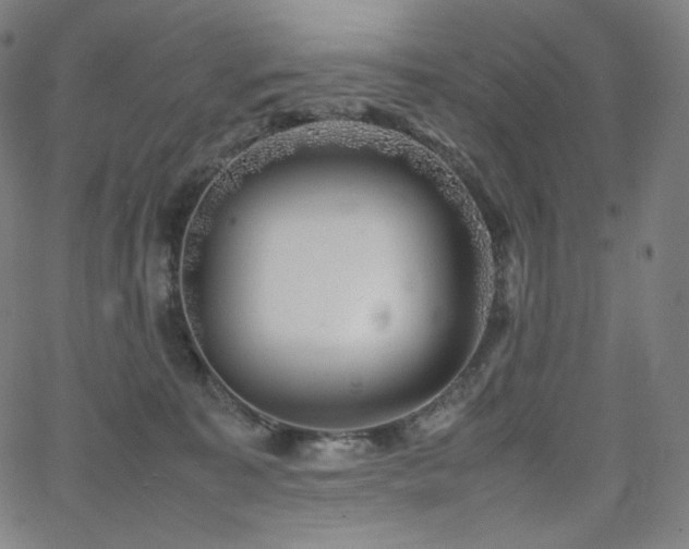 X0000066100323200603101147