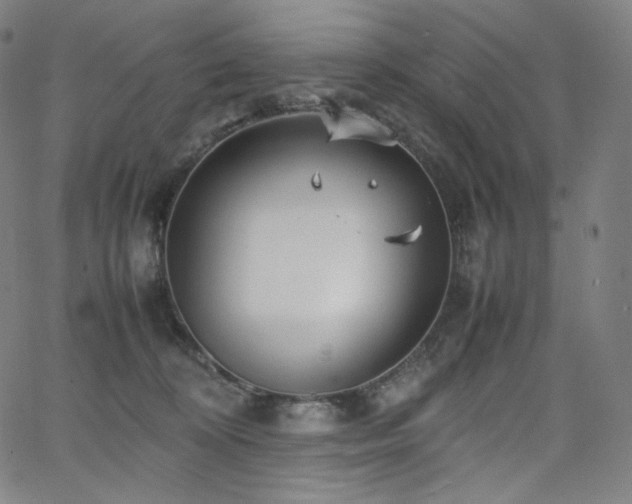 X0000066100324200603101147