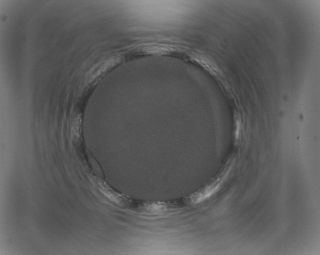 X0000066100325200603101147