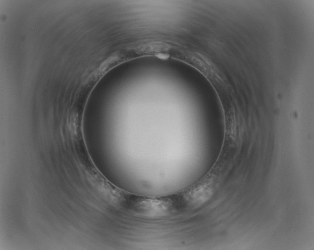 X0000066100326200603101147