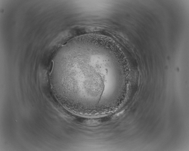 X0000066100327200603101147