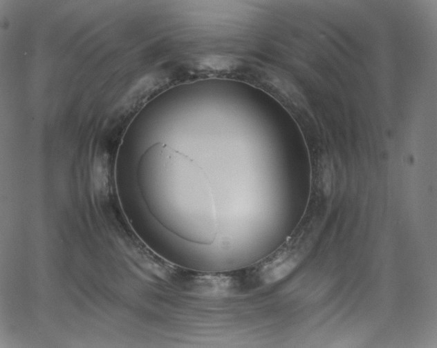 X0000066100328200603101147