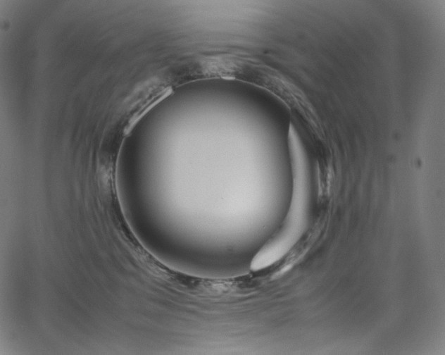 X0000066100329200603101147