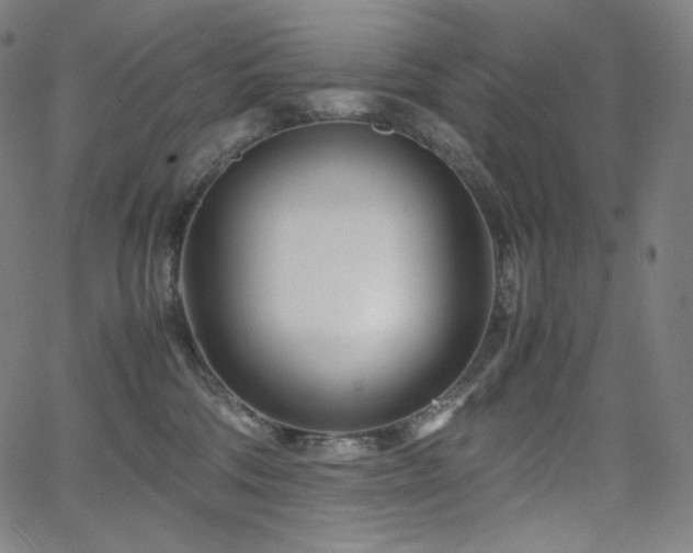 X0000066100330200603101147