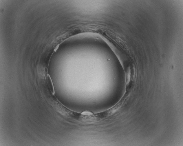 X0000066100331200603101147