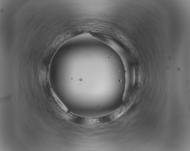 X0000066100333200603101147