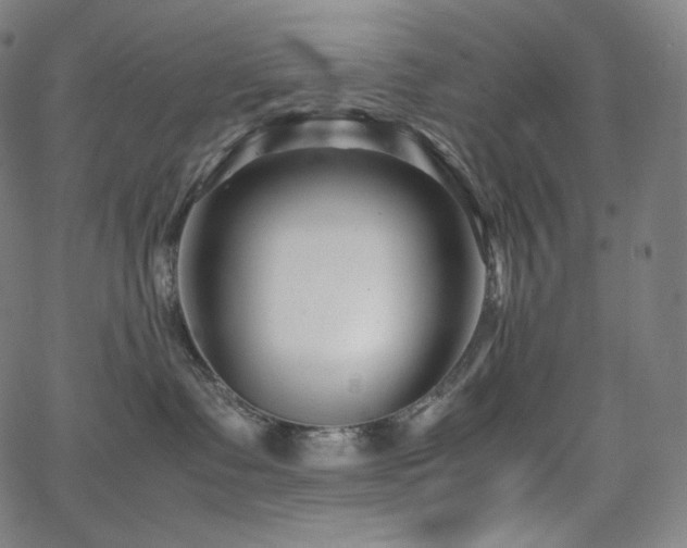 X0000066100335200603101147