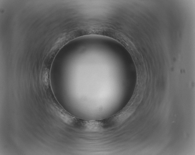 X0000066100336200603101147