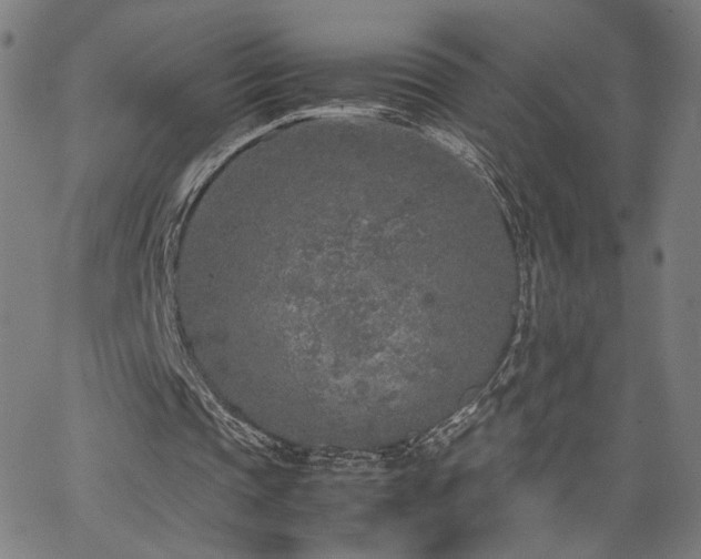 X0000066100337200603101146