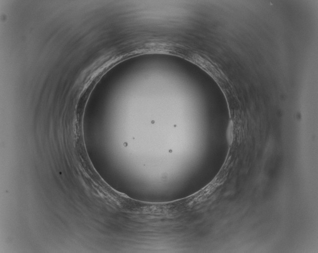 X0000066100338200603101146