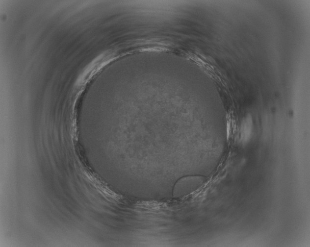 X0000066100339200603101146