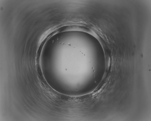 X0000066100340200603101146