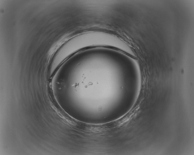 X0000066100341200603101146