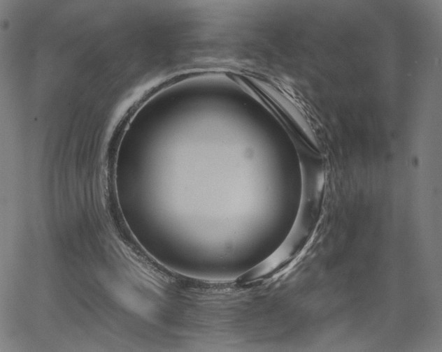 X0000066100342200603101146