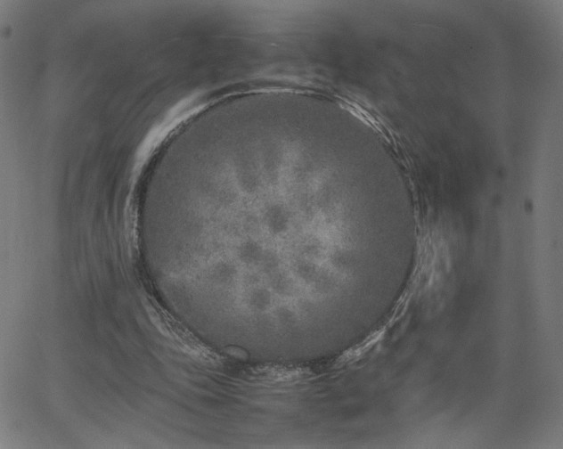 X0000066100343200603101147