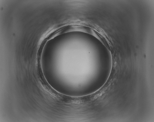 X0000066100344200603101147