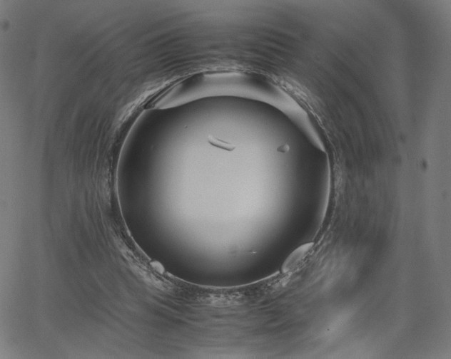 X0000066100345200603101147