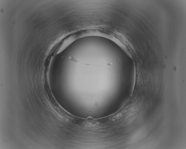 X0000066100346200603101147