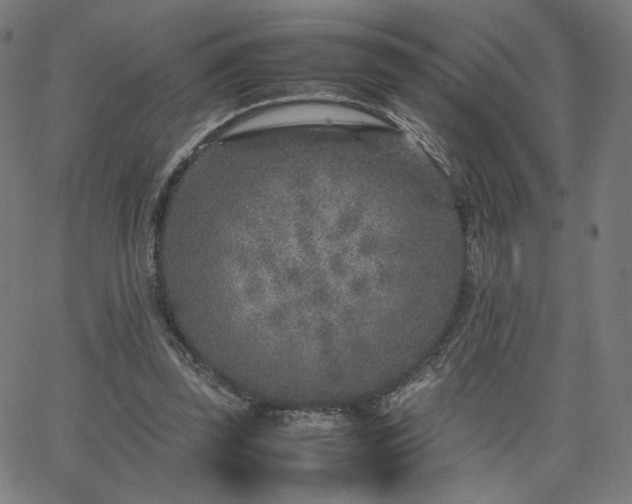 X0000066100347200603101147